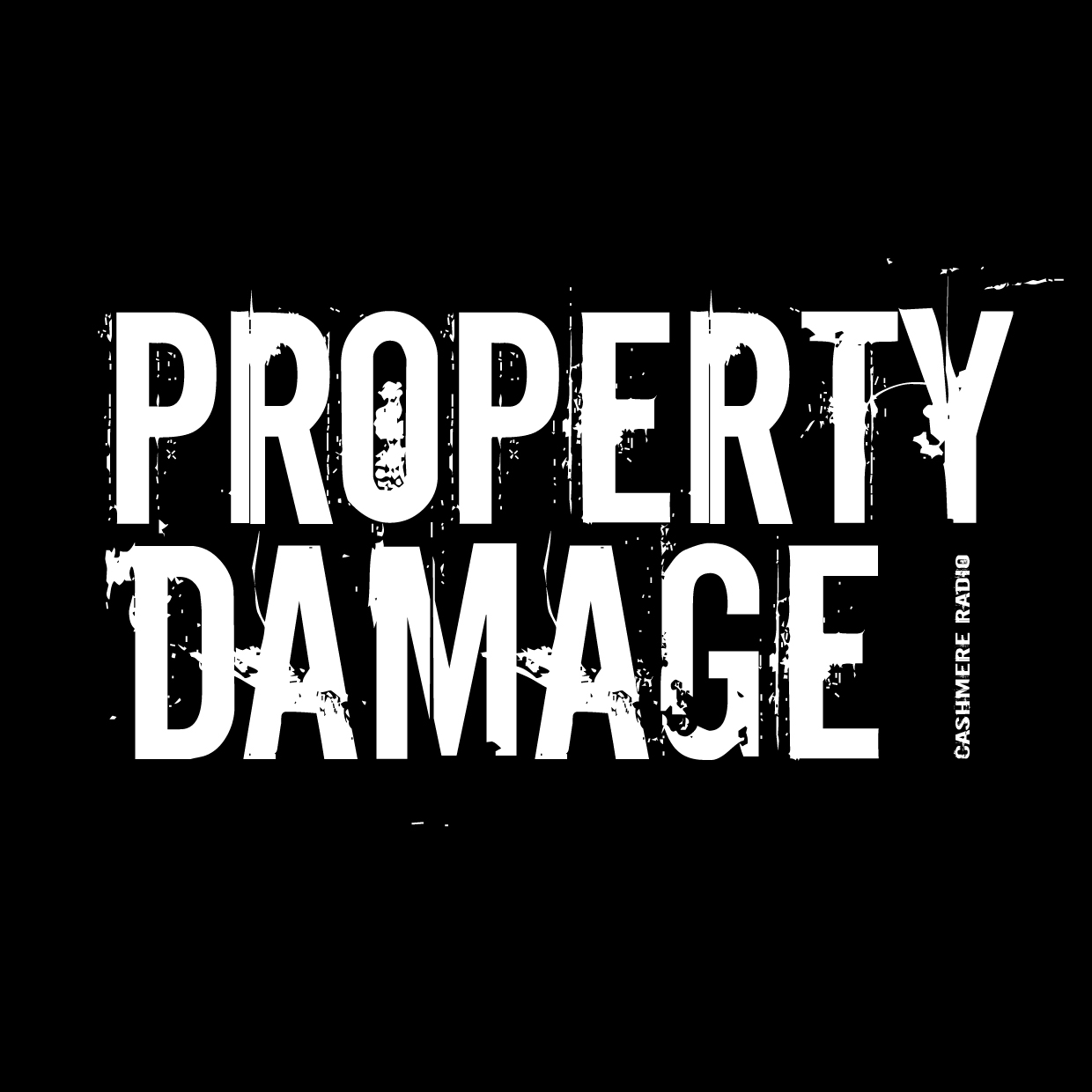 PROPERTY DAMAGE quada.jpg