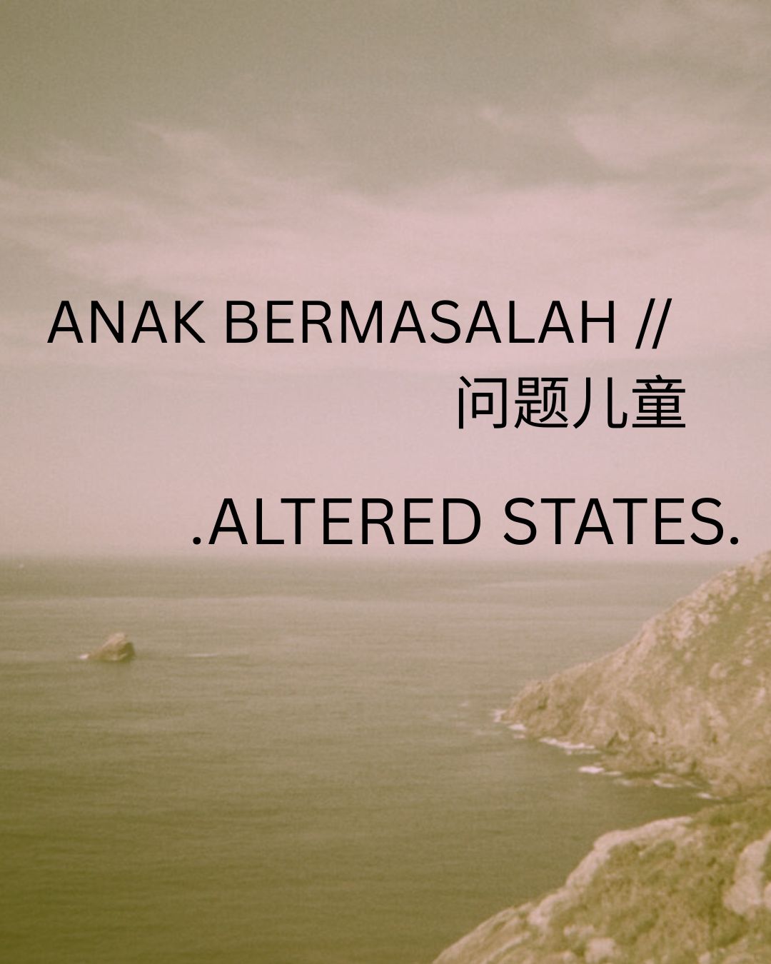 ANAK BERMASALAH 问题儿童 (2).jpg