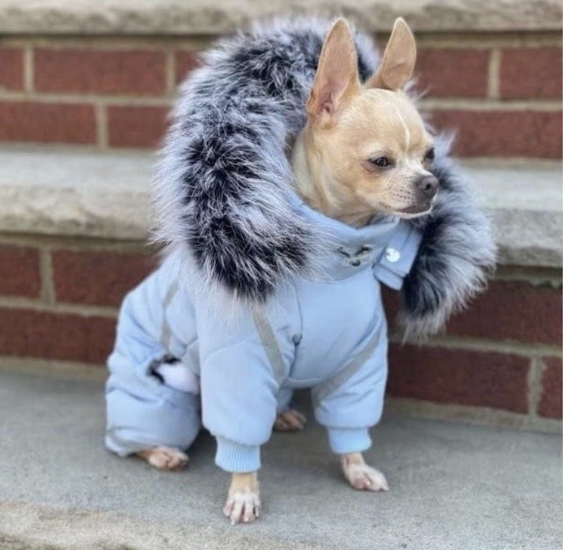 seasonal depression.jpg