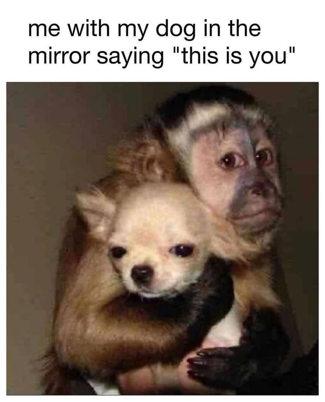 companion species.jpg