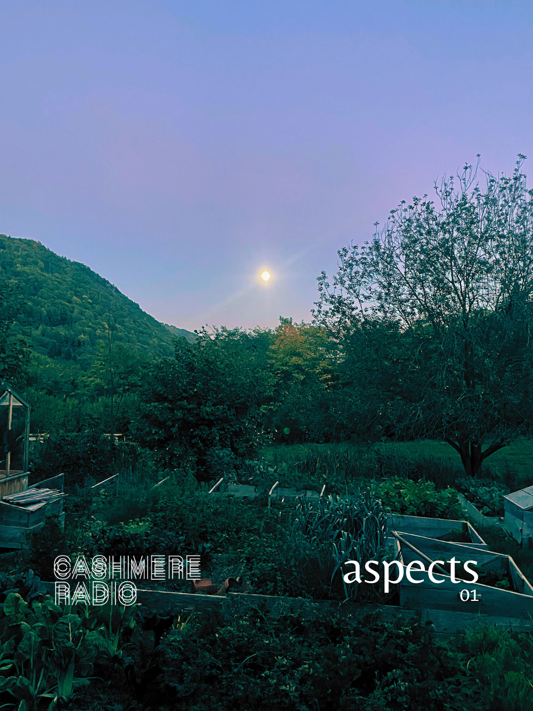 Aspects 01 w/ Solalex