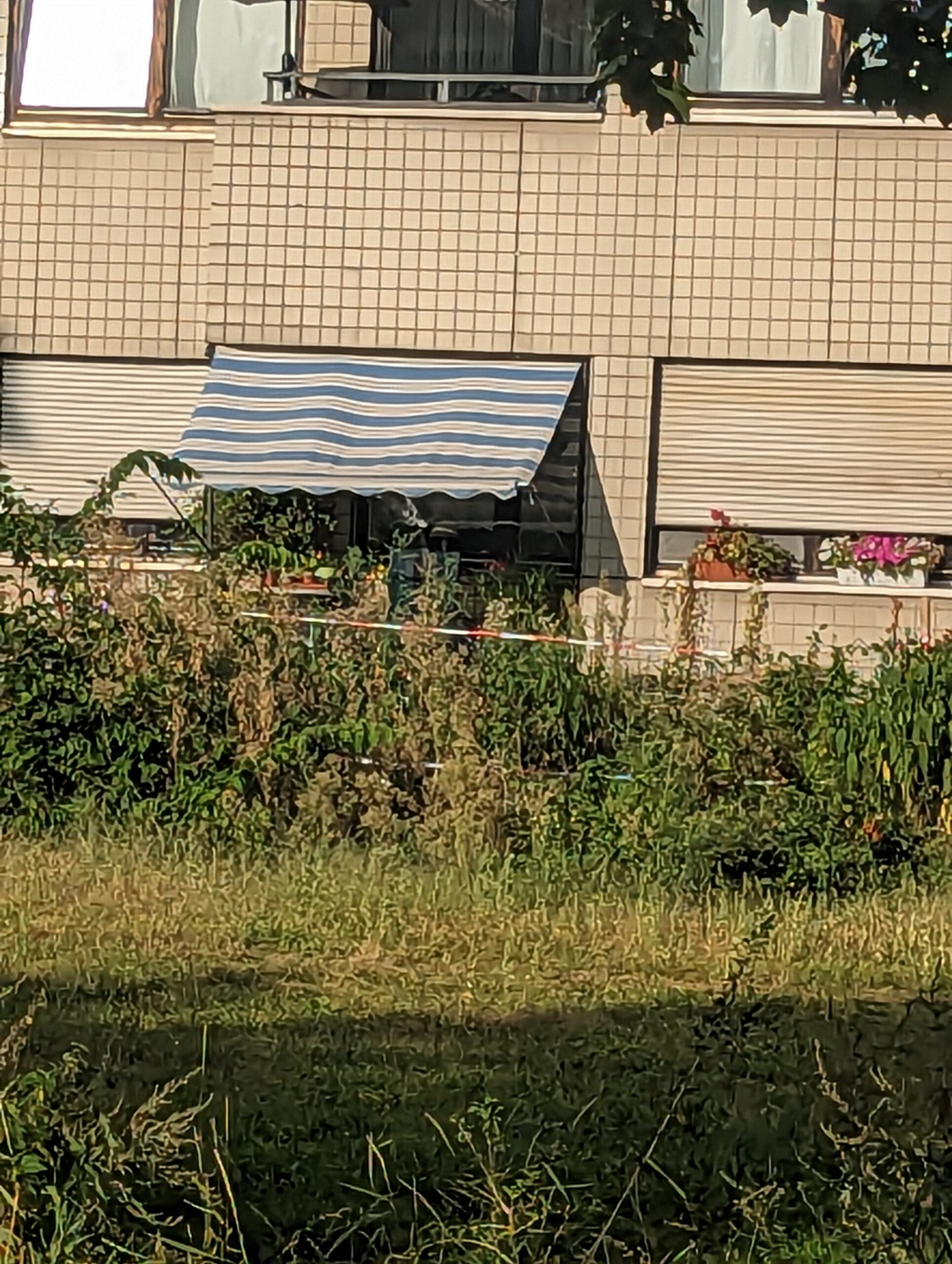 awndrone.jpg
