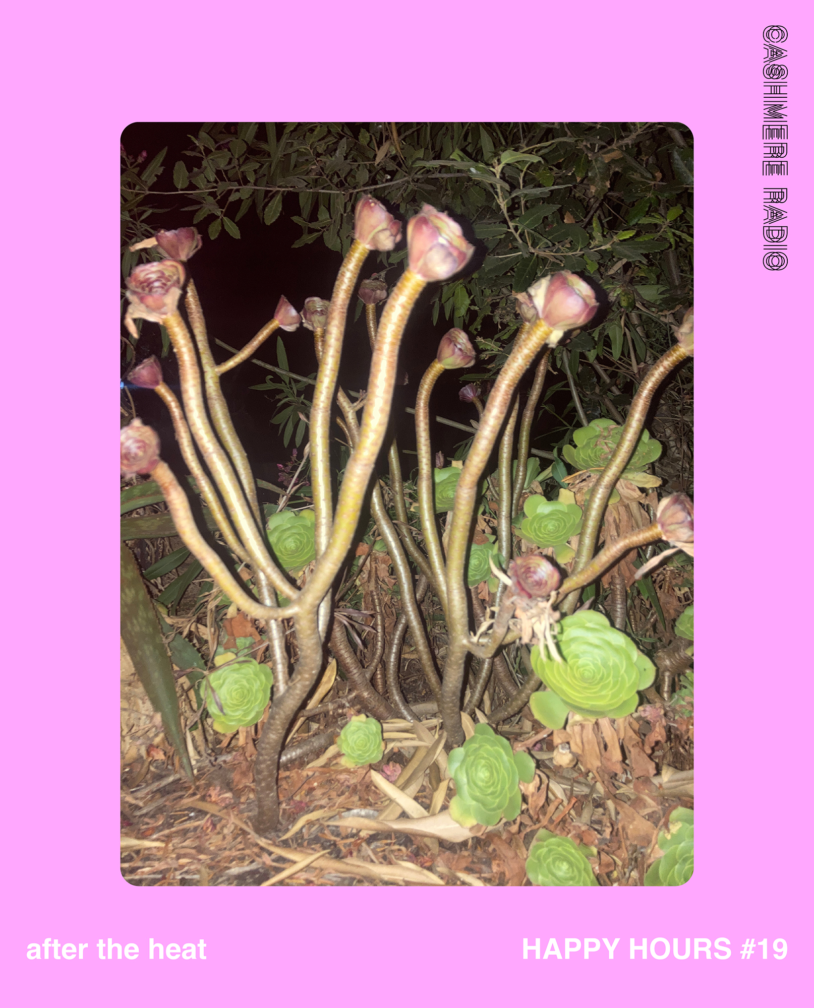 happy 19 cover.jpg