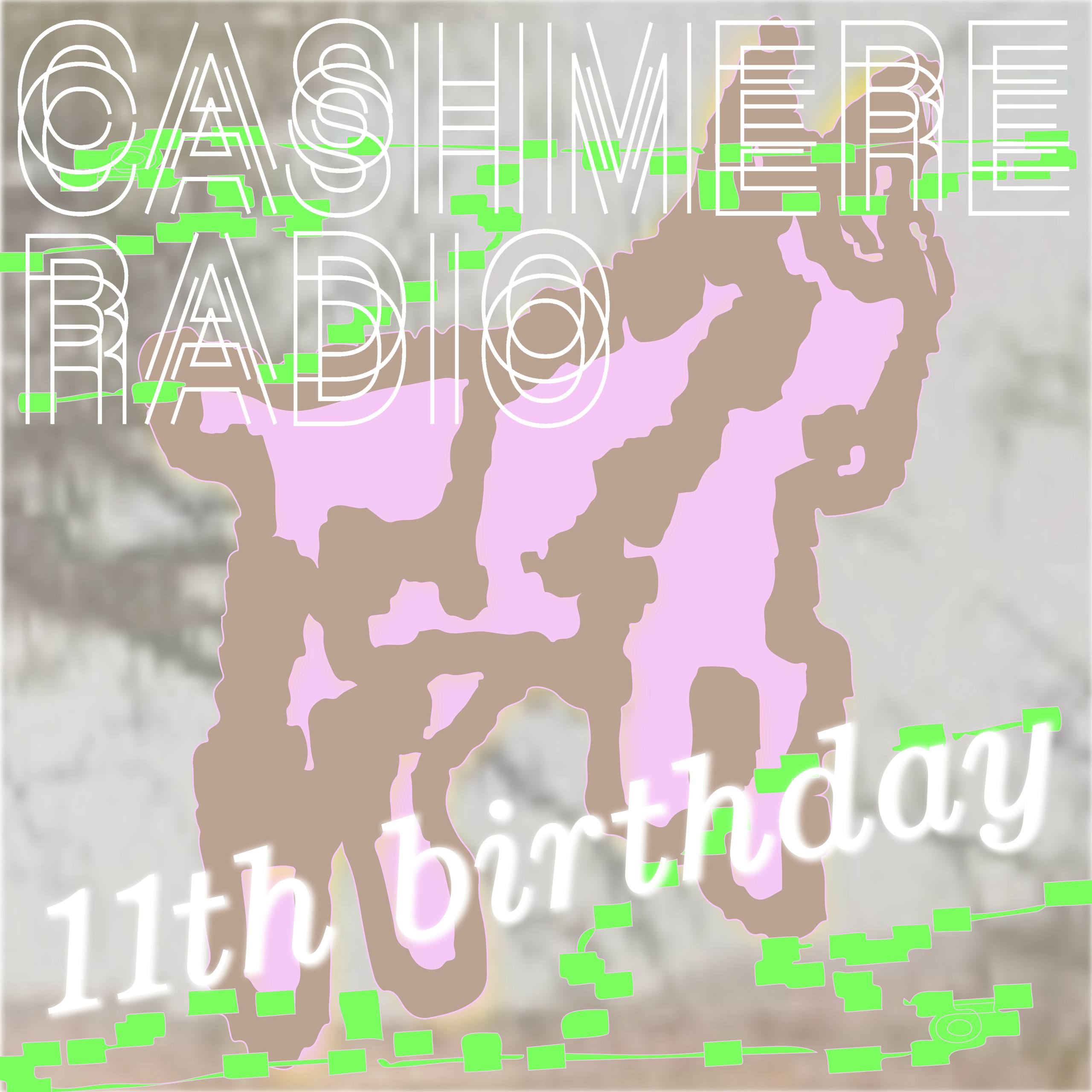 Cashmere11thBirthday.jpg