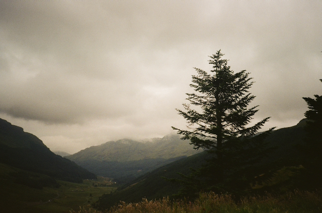 within the fields