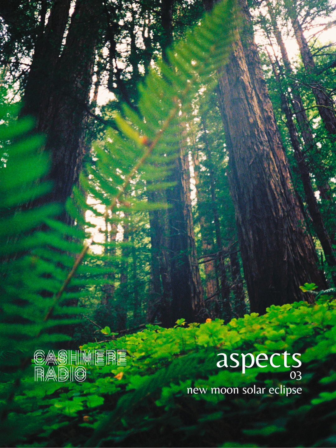 Aspects 03