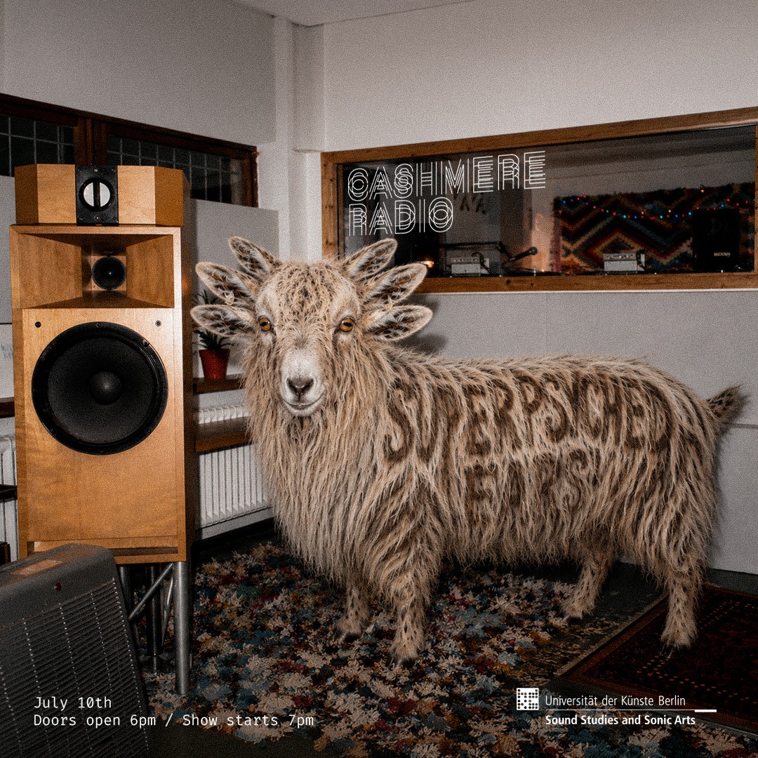 CashmereRadioSuperpsychedEars