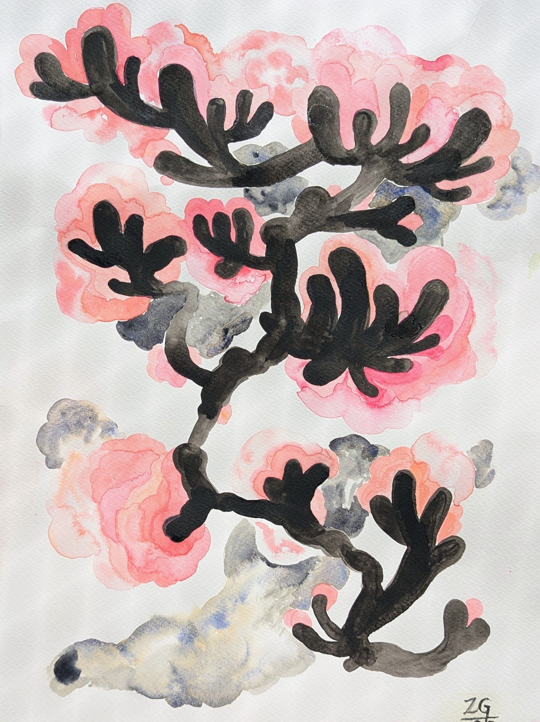 zola gorgon pure morning